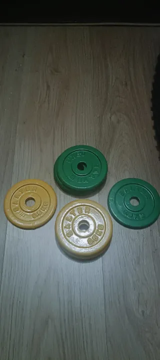Discos de pesa Salter 0.5kg (8 unidades)