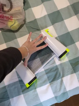 Red de ping pong y pelotas