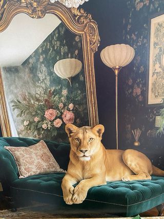 Quadro dorato invecchiato con leona su divano vintage