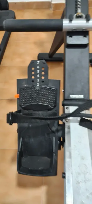 Máquina de remo Xebex