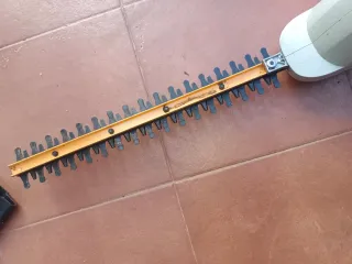 Cortasetos Eléctrico Extensible