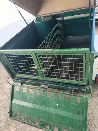 Remolque para perros