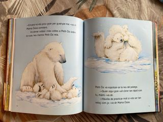 Contes Per Somiar Cada Nit (Contes (catalan))