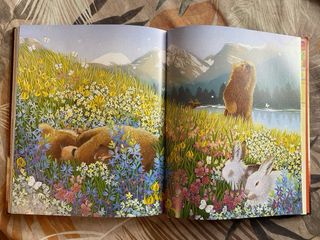 Contes Per Somiar Cada Nit (Contes (catalan))