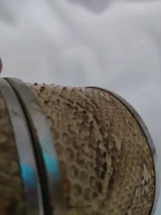 Scatola portagioie rettile vintage