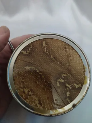 Scatola portagioie rettile vintage