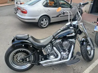 Guardabarros Fatboy 2008