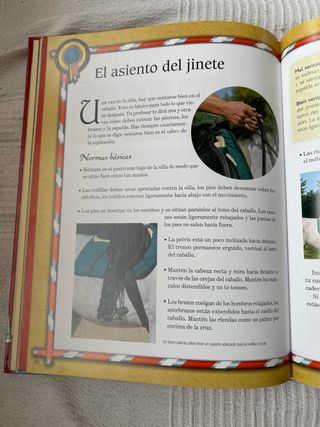 Mi Gran Libro Sobre Caballos