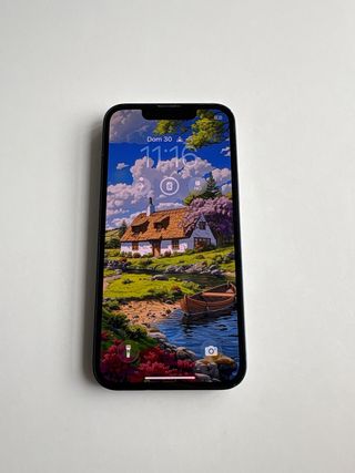 iPhone 13 mini Nero 256GB