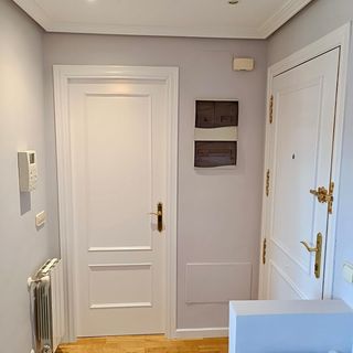 PINTOR LACADOR  PROFESIONAL ASTURIAS