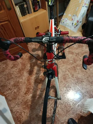 Bicicleta Carretera Carbono Talla 51