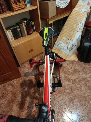 Bicicleta Carretera Carbono Talla 51