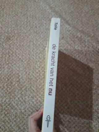 De kracht van het nu gids voor spirituele verli...