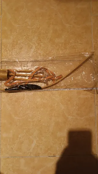 Arco y flechas de ventosa