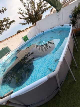 Piscina desmontable verano y hamacas