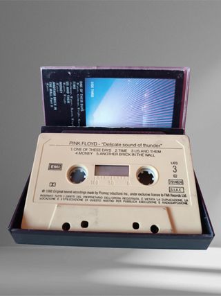 Pink Floyd – Delicate Sound of Thunder Vol. 2