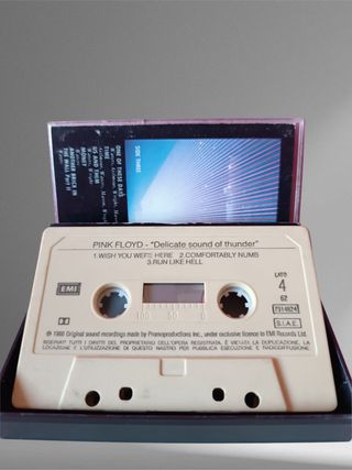 Pink Floyd – Delicate Sound of Thunder Vol. 2