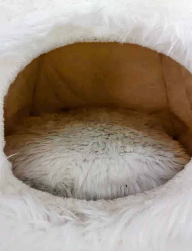 Cama Cueva Royal Pet Gatos/Perros Blanca