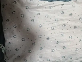 Funda protectora cuna gatitos Marie