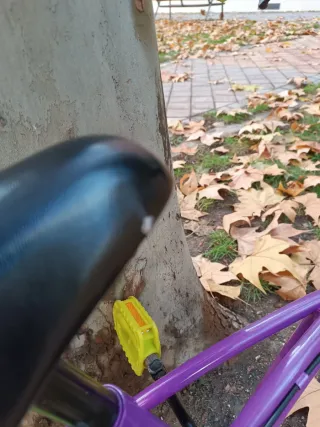 Bicicleta con ruedines y rueda 14 pulgadas