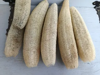 Esponja Luffa Natural