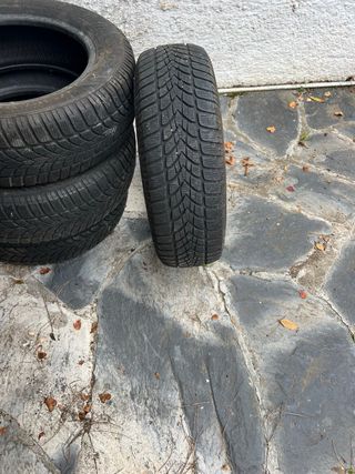 Neumáticos de invierno 195 65 15 Dunlop