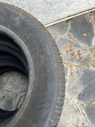 Neumáticos de invierno 195 65 15 Dunlop