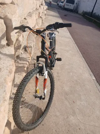 Bicicleta Wolfbike de les  tchicos de 12,16