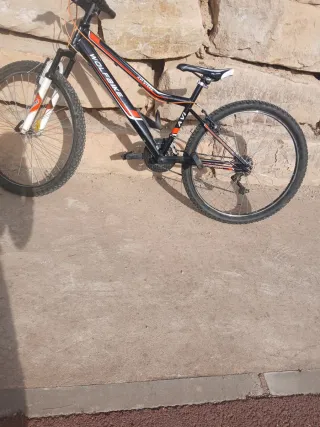 Bicicleta Wolfbike de les  tchicos de 12,16