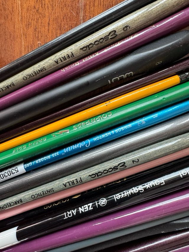 Lote de pinceles para arte