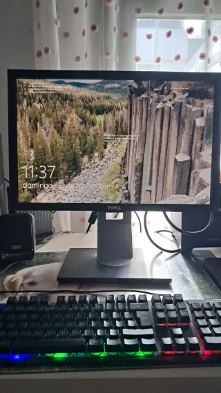 Monitor Pantalla Dell P1911 Negro/Gris