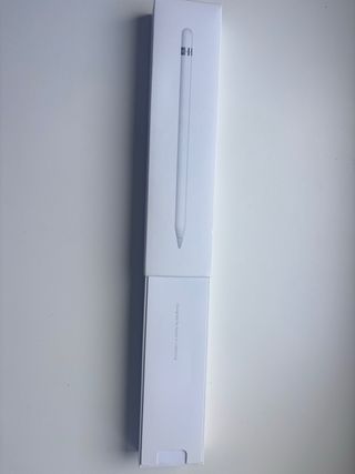 Apple Pencil para iPad Pro 6ª Gen