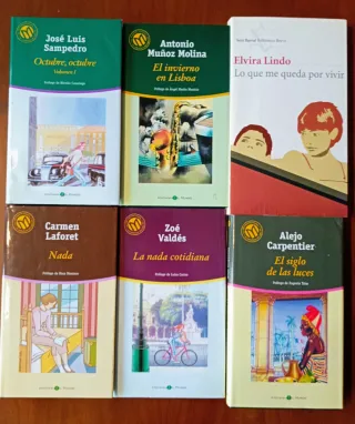 Lote 12 Libros: Sampedro, Laforet, Baroja, etc 9 €