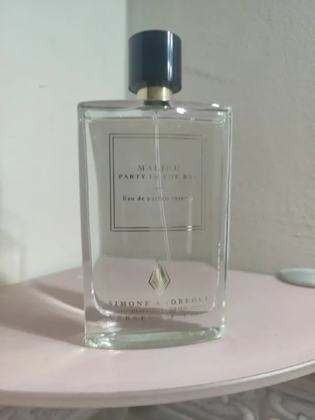 Simone Andreoli Malibu Party in The Bay