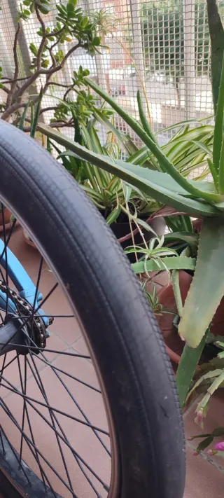 Bmx Monty Daymos Azul