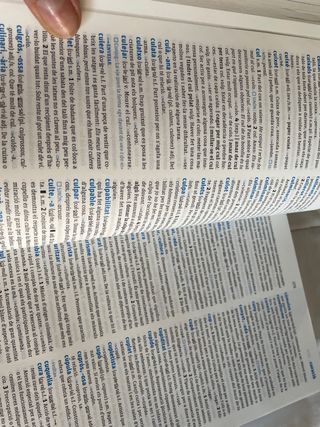 Diccionario Avanzado Primaria. Lengua española ...