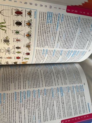 Diccionario Avanzado Primaria. Lengua española ...