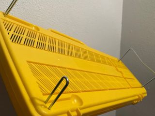 Xilófono Angel AG-25N3 Glockenspiel