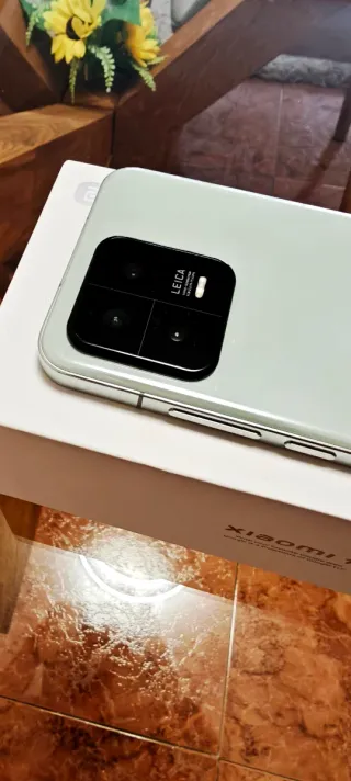 Xiaomi 13 12GB RAM 256GB Versione Flora-Verde