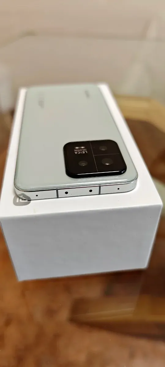 Xiaomi 13  12GB RAM 256GB Versión Flora-Green