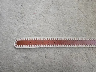 Cinturón Pinko Marrón Talla XS piel guts and love