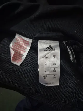 Chaqueta Real Madrid Adidas Gris