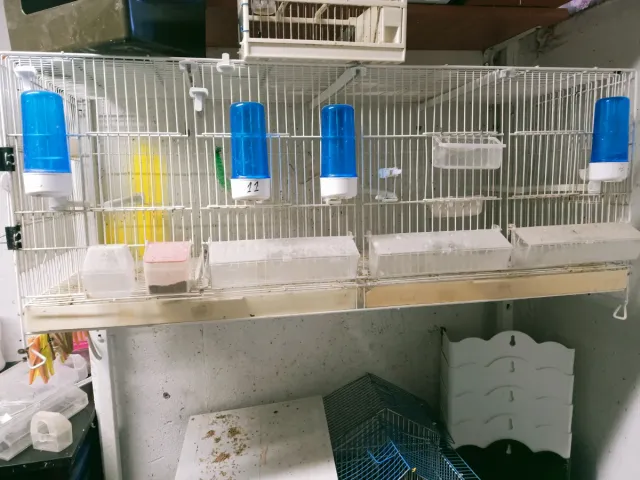 Jaula Metro Pedros Blanca