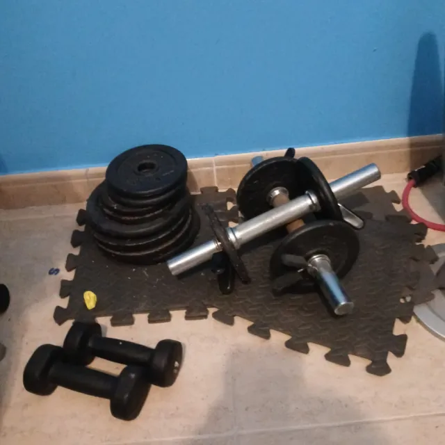 Mancuernas y discos de pesas