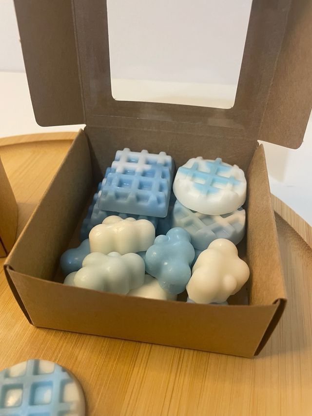 Wax Melts Ropa Limpia