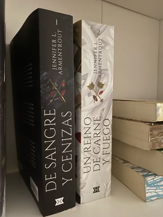 Un reino de carne y fuego (Spanish Edition)