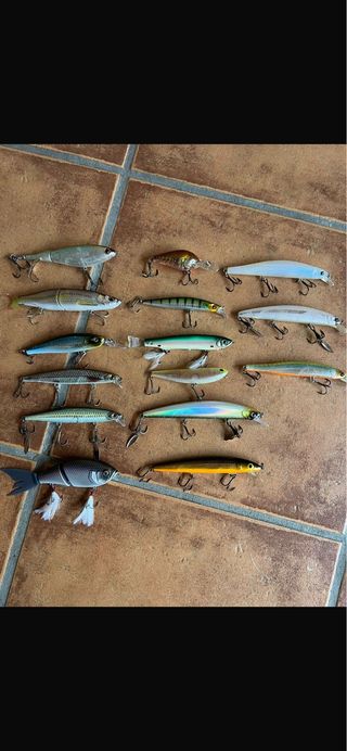 Caña de Pesca completa casting y combo de señuelos