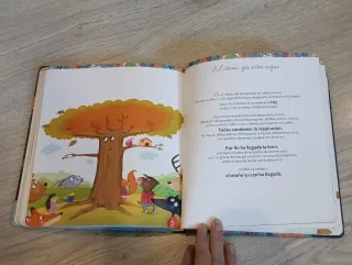 Libro Mis preciosos cuentos para dormir