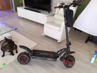 Patinete Eléctrico Mono Vasculante.