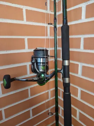 Caña de pesca para siluro